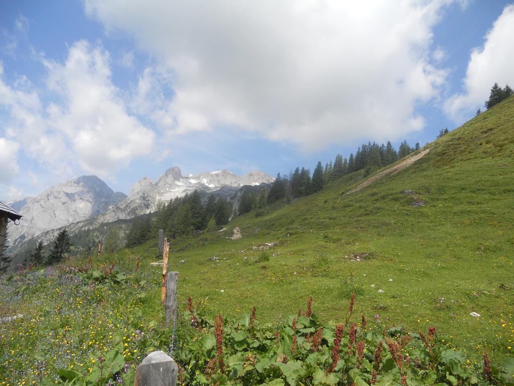 Vorderhof Daire Sankt Martin am Tennengebirge Dış mekan fotoğraf